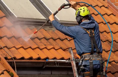 Démoussage et hydrofuge de toiture à Flée